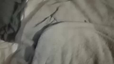 Snapshot of dig_bick_38 chatting on October 10, 4:44 am Daddy online show from October 10, 4:44 am