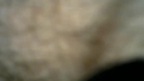 Snapshot of dilaradagci chatting on July 26, 11:22 pm Bob online show from July 26, 11:22 pm