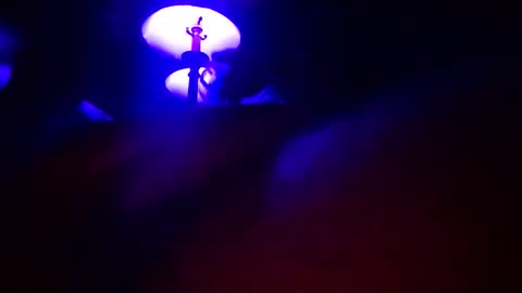 DIPSTIK online show from April 15, 9:16 am