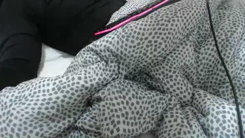 Z online show from February 3, 11:48 am