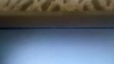 free4fun online show from April 9, 6:13 am