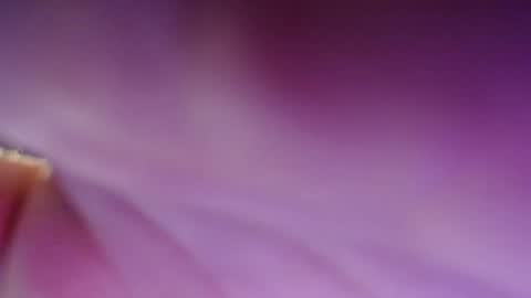 Snapshot of dirty_kiss69 chatting on February 17, 11:31 pm Dirty Kiss69 online show from February 17, 11:31 pm