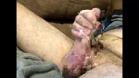 Snapshot of dirtykurty5000 chatting on September 12, 11:43 am Dirtykurty5000 online show from September 12, 11:43 am