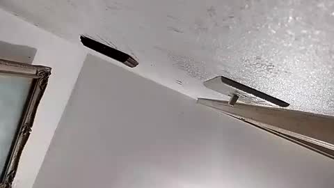 Snapshot of dixonbird41 chatting on February 11, 2:46 am dixonbird41 online show from February 11, 2:46 am