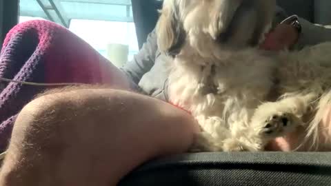 DKdad online show from December 15, 9:13 am