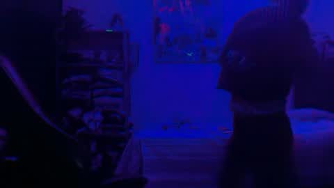 Snapshot of dogboi666 chatting on June 25, 4:34 am Dogboi online show from June 25, 4:34 am