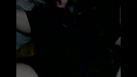 Snapshot of domanarchist chatting on December 8, 8:09 am Sullyboyx online show from December 8, 8:09 am