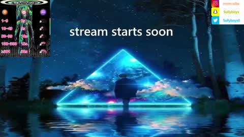 Snapshot of domanarchist chatting on January 26, 11:29 pm Sullyboyx online show from January 26, 11:29 pm