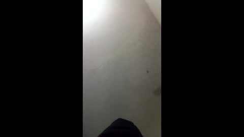 Snapshot of donkeykong34418301 chatting on March 3, 6:08 am donkeykong34418301 online show from March 3, 6:08 am