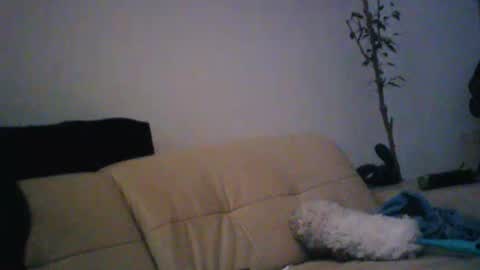 donosus online show from January 18, 1:31 am