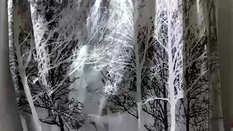 Snapshot of donschlongs chatting on December 28, 7:01 pm donschlongs online show from December 28, 7:01 pm