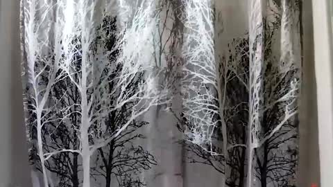 Snapshot of donschlongs chatting on January 21, 8:00 pm donschlongs online show from January 21, 8:00 pm