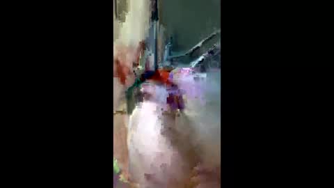 Snapshot of doogie215 chatting on March 3, 12:50 am doogie215 online show from March 3, 12:50 am