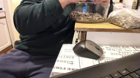 Snapshot of doriancretu95 chatting on January 1, 12:00 am menu below online show from January 1, 12:00 am