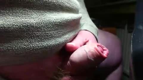 Snapshot of doscard chatting on December 14, 11:34 pm doscard online show from December 14, 11:34 pm