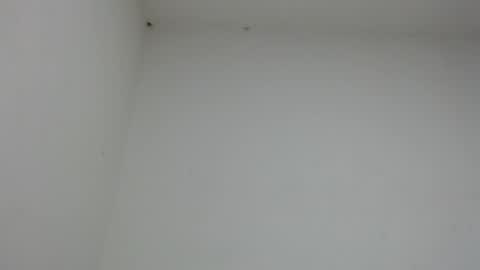 drako_monstercock online show from January 17, 10:46 pm