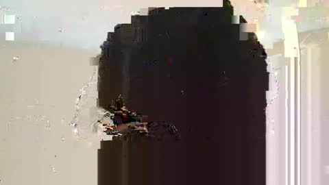 Dread online show from March 10, 11:10 am