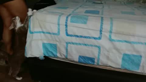 dreamreal online show from November 1, 2:41 pm