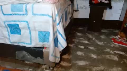 dreamreal online show from December 18, 11:27 am