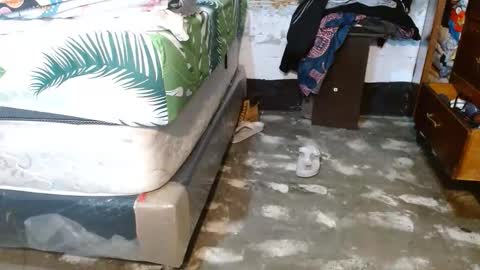 dreamreal online show from March 18, 10:40 am