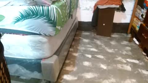 dreamreal online show from March 27, 11:32 am