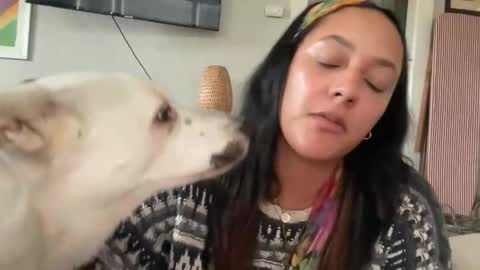 Snapshot of dreamyriri chatting on February 11, 10:48 pm RIRI OR DREAMY online show from February 11, 10:48 pm