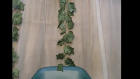 linda online show from January 10, 5:37 pm