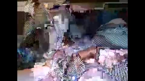 driver187 online show from December 19, 7:40 pm