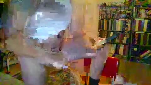 Snapshot of duallines2 chatting on March 14, 5:35 am duallines2 online show from March 14, 5:35 am