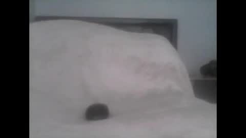 dudek0 online show from November 1, 2:19 pm