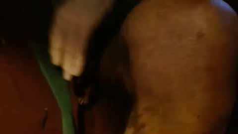 dunany101 online show from February 26, 10:53 pm