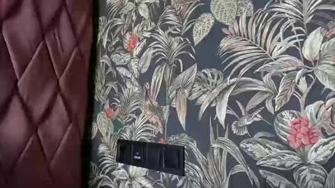 Dya online show from March 27, 10:59 am