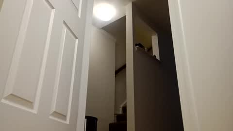 easternjerk online show from December 16, 11:04 am