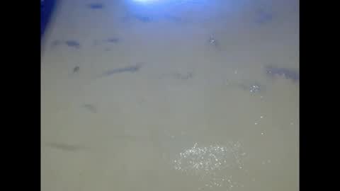 eatuupx online show from December 5, 9:18 am