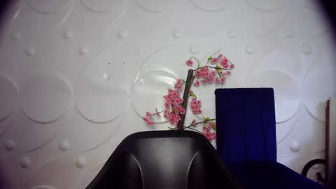 ebonykissxx online show from June 26, 11:36 am