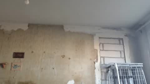 Snapshot of edifox chatting on February 12, 1:16 pm Alexander online show from February 12, 1:16 pm