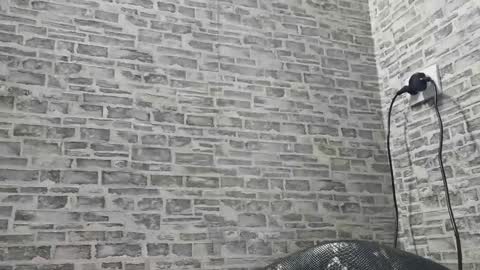 edithmanning online show from January 18, 11:11 am