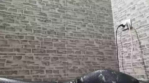 edithmanning online show from March 6, 3:45 pm