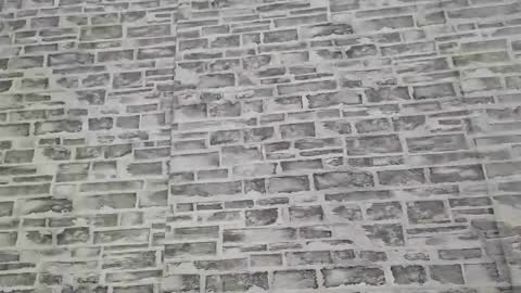 edithmanning online show from November 10, 6:12 am