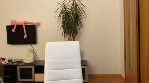 Eitan online show from February 1, 11:54 am