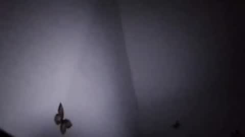 Snapshot of ekspansion chatting on January 8, 4:37 am Ekspansion online show from January 8, 4:37 am