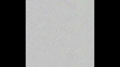 Ekz online show from February 16, 7:05 pm