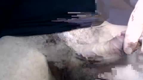 Snapshot of el_gato_lusty chatting on January 30, 1:42 pm el gato lusty online show from January 30, 1:42 pm