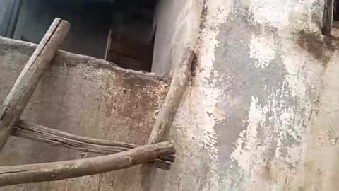 eldie69 online show from November 29, 10:51 am