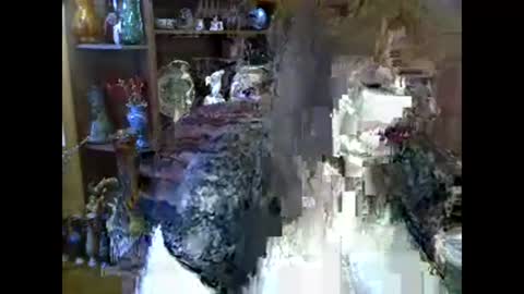 ElenaZed online show from February 10, 9:13 am