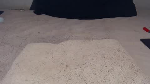 elgsslt online show from November 23, 12:16 pm