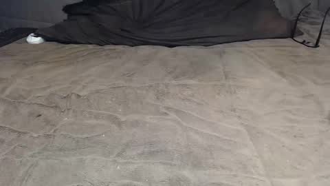 elgsslt online show from April 8, 9:53 am