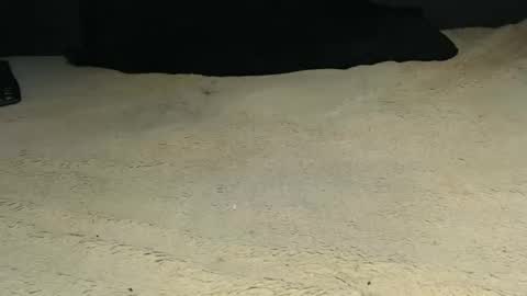 elgsslt online show from April 9, 9:26 am