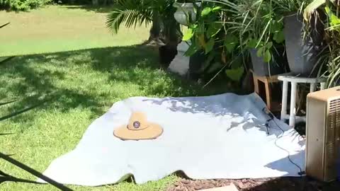 eliberator online show from September 21, 5:03 pm