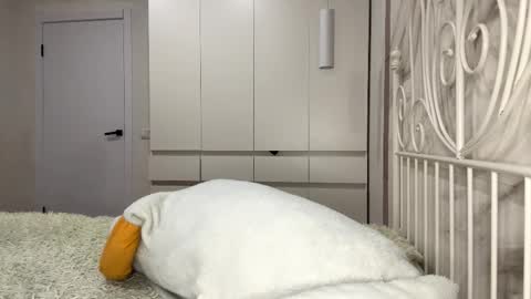 Rosa online show from January 6, 1:04 pm